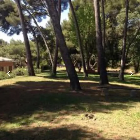 Appartement Les Ninettes Bord De Plage Bandol
